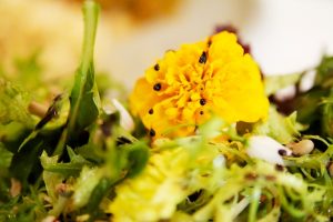 Betty's amsterdam - vegetarisch restaurant - eetbare bloemen