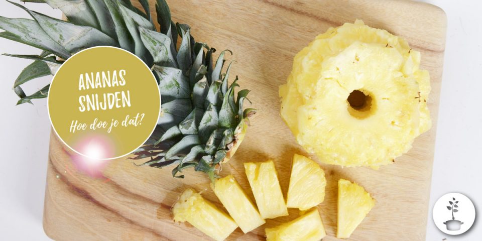 Hoe snijdt je een verse ananas?